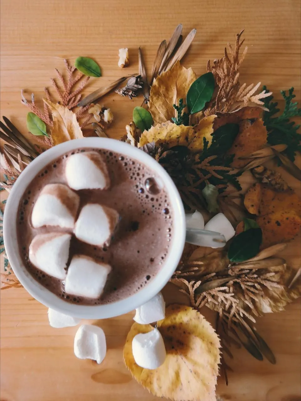 Chocolatería El Radal, taller y productos