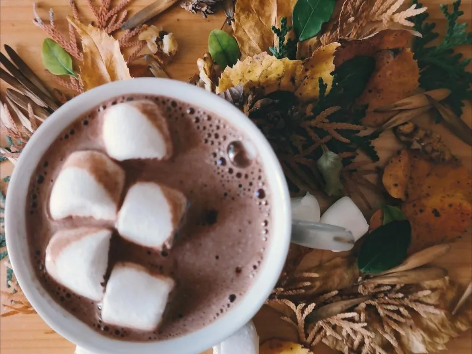 Chocolatería El Radal, taller y productos